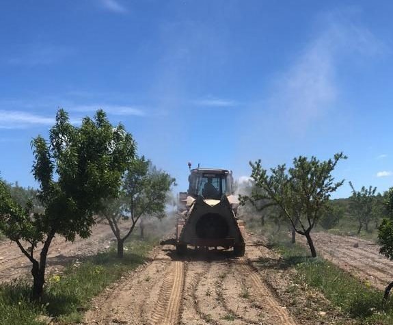 gestion fincas curacion agricola guadix