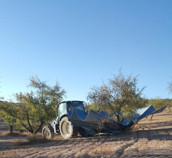 recogida almendros finca tractor campo guadix