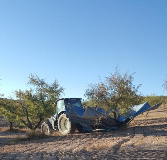 recogida mecanizada almenddros agricola agricolas guadix