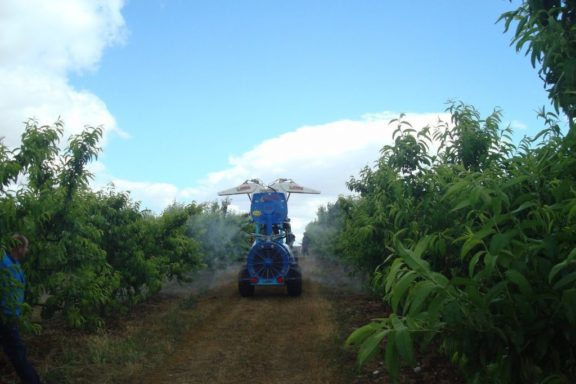 gestion fincas riegos curacion campo tractor gestion fincas curacion agricola guadix