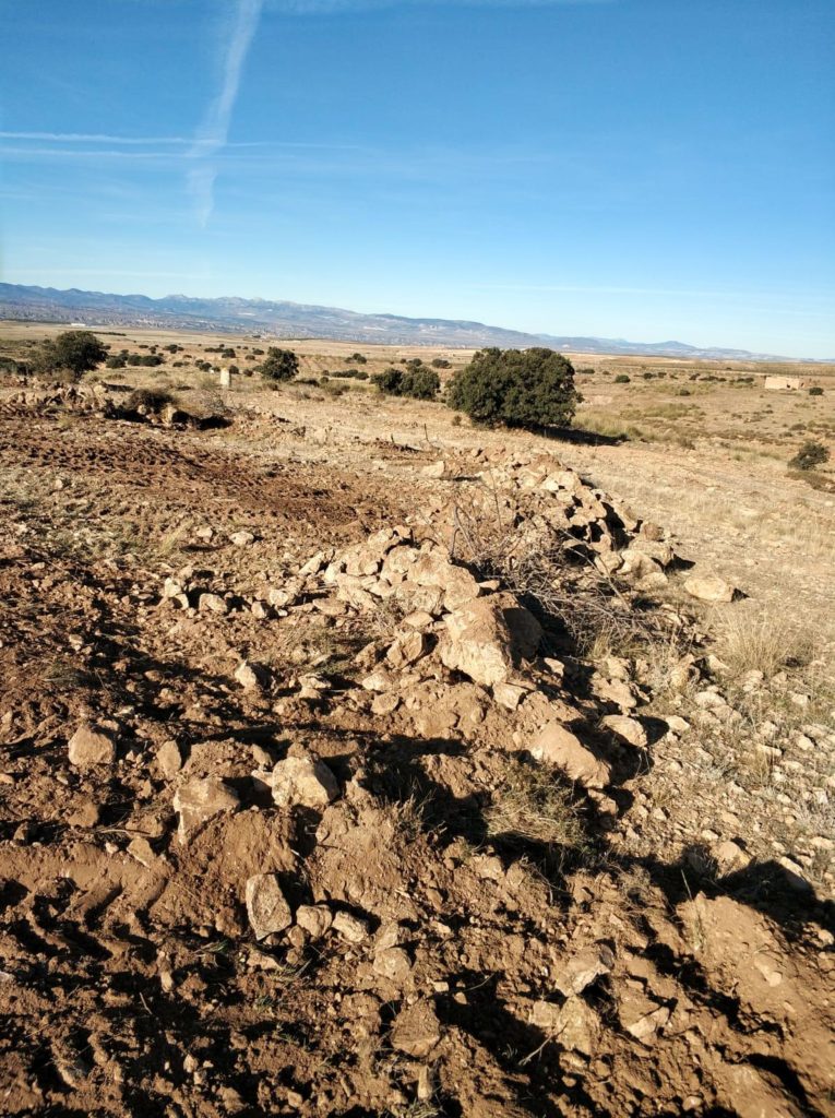 despedregado fincas agricolas guadix