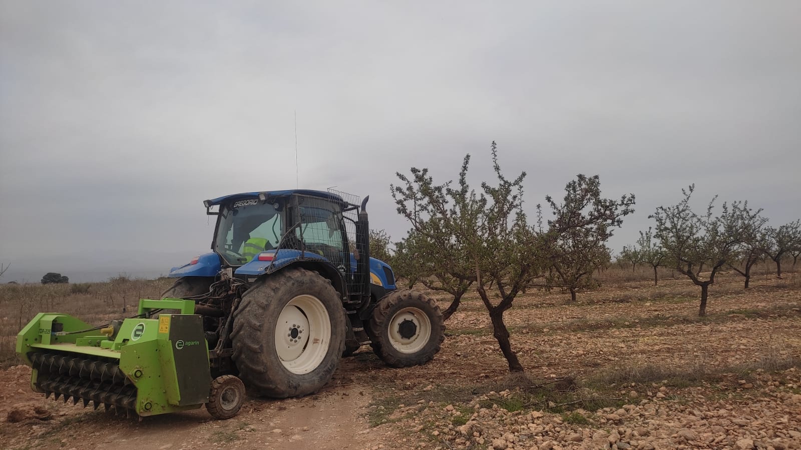 arrendamiento fincas agricola agricolas charches guadix